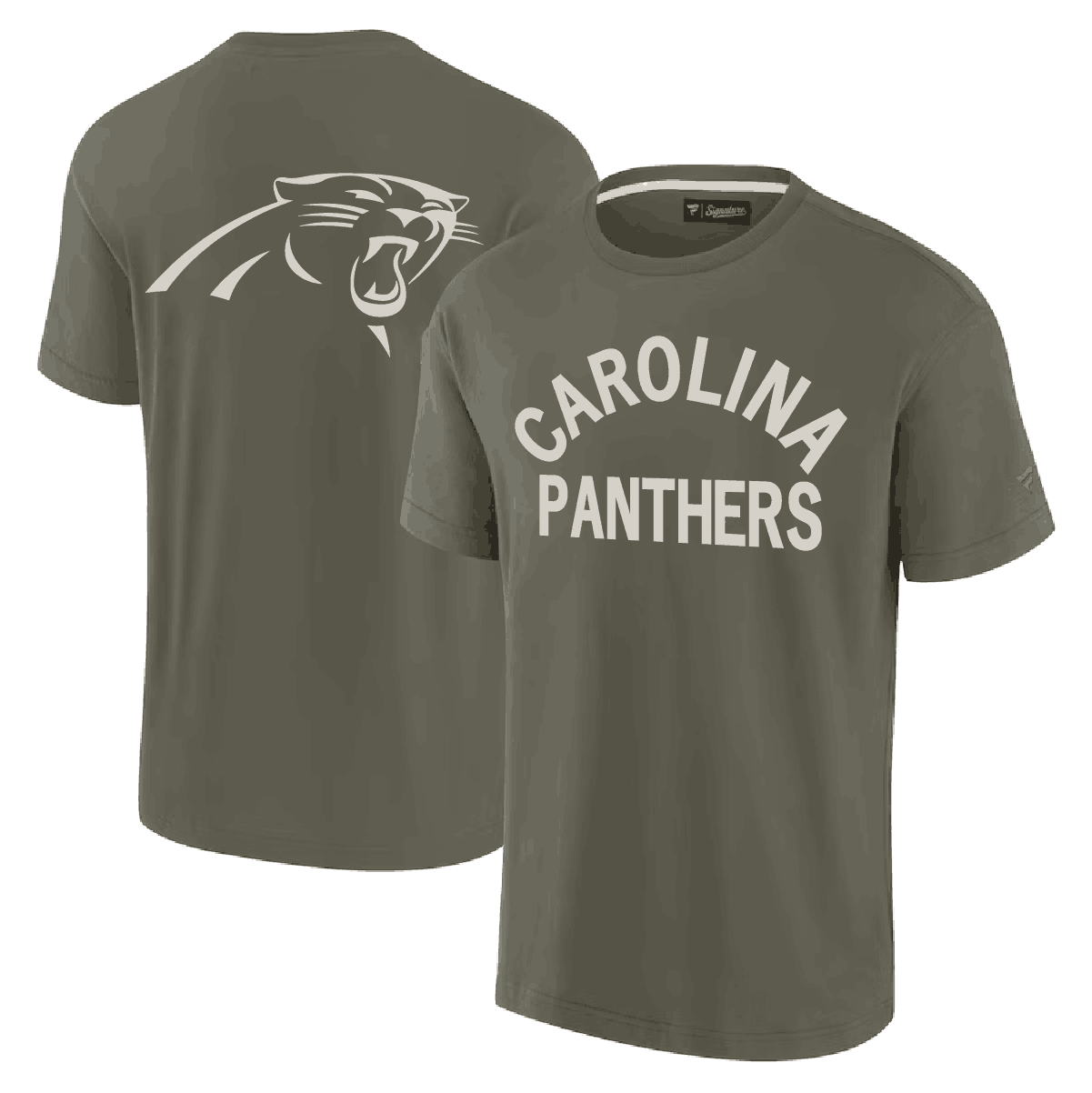 Men 2024 NFL Carolina Panthers T shirts